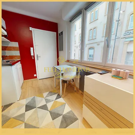 Le Petit Cocon, Station, Center & Free Coffee Apartamento Nancy