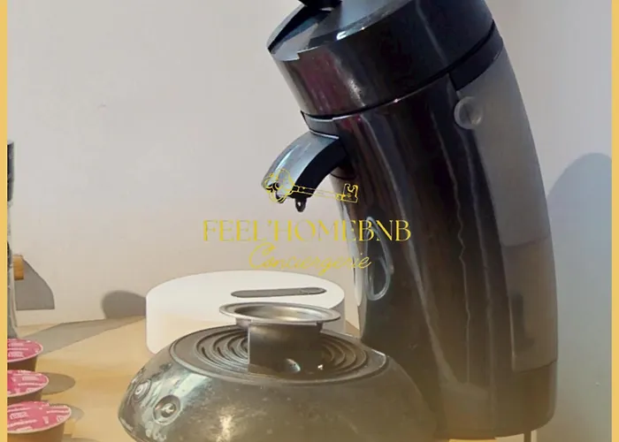 Le Petit Cocon, Station, Center & Free Coffee Apartment Nancy